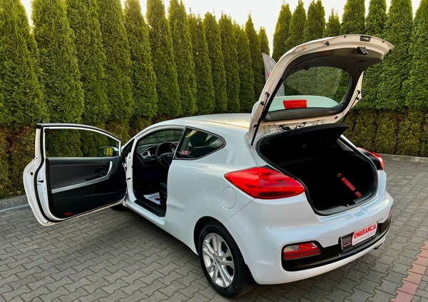 Kia Ceed cena 25900 przebieg: 216281, rok produkcji 2013 z Recz małe 704
